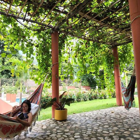 Color Hostel Palomino Εξωτερικό φωτογραφία