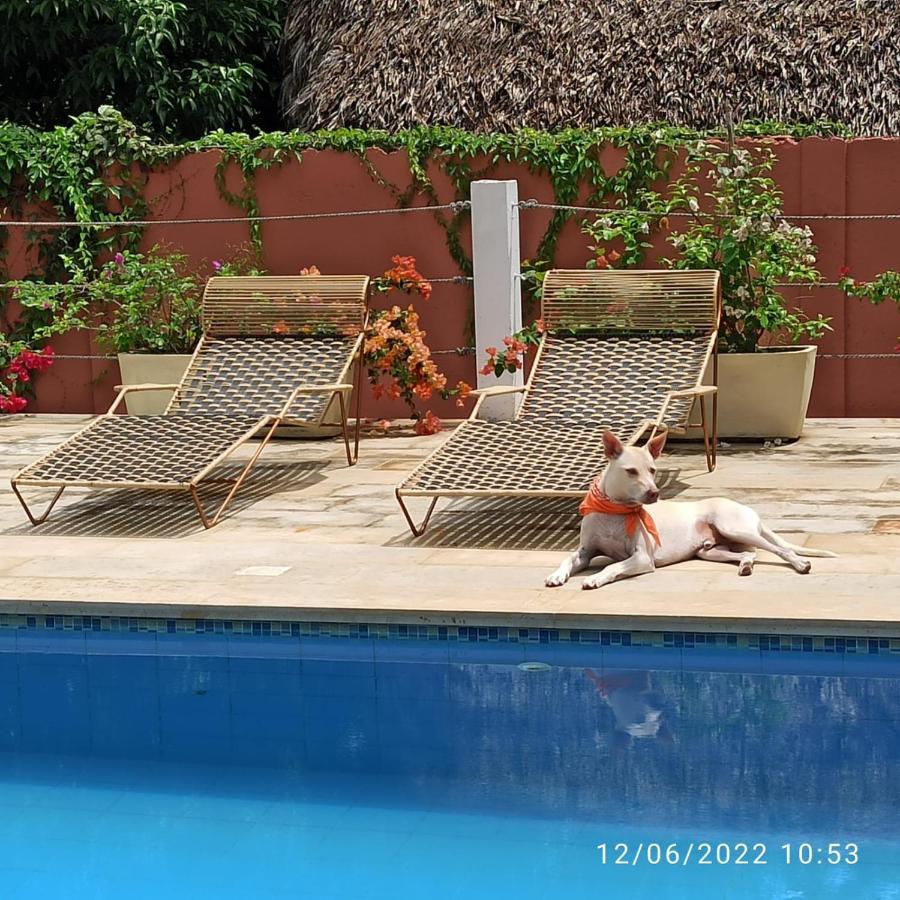 Color Hostel Palomino Εξωτερικό φωτογραφία