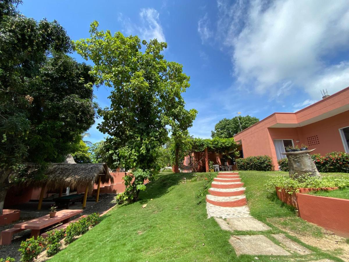 Color Hostel Palomino Εξωτερικό φωτογραφία