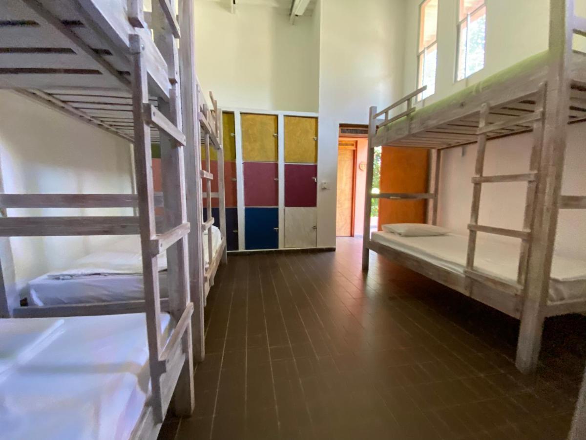 Color Hostel Palomino Εξωτερικό φωτογραφία