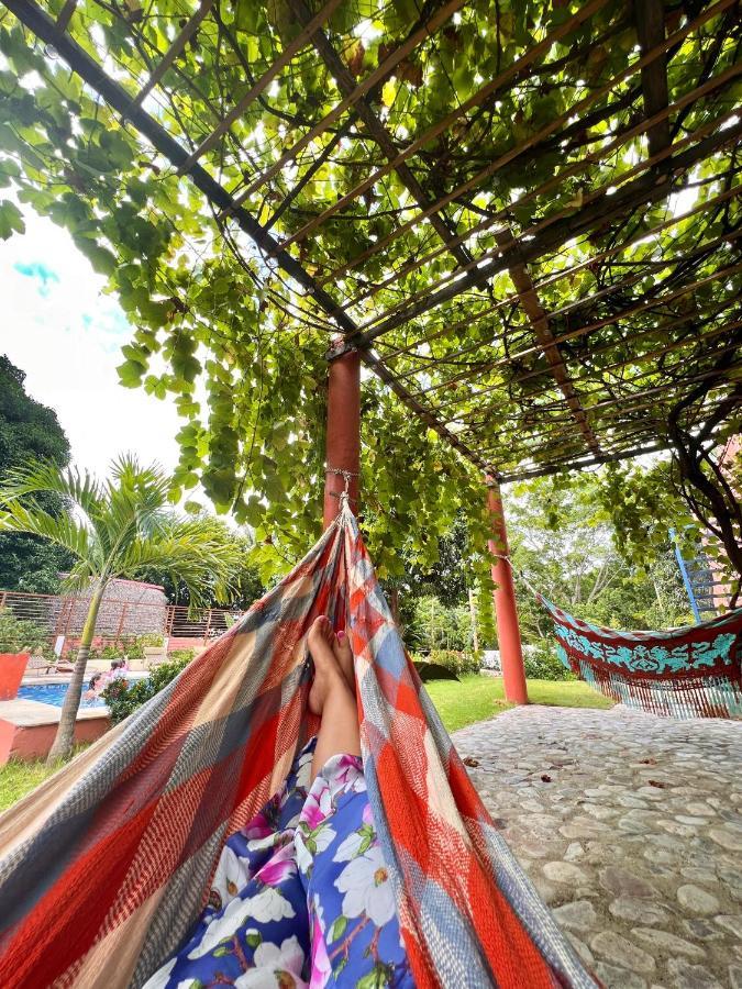 Color Hostel Palomino Εξωτερικό φωτογραφία