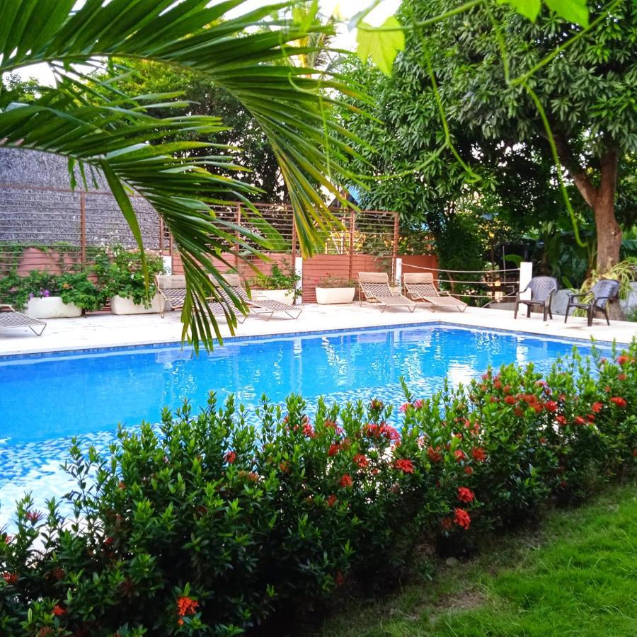 Color Hostel Palomino Εξωτερικό φωτογραφία