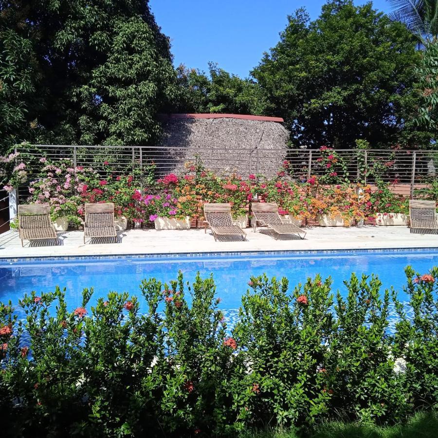 Color Hostel Palomino Εξωτερικό φωτογραφία